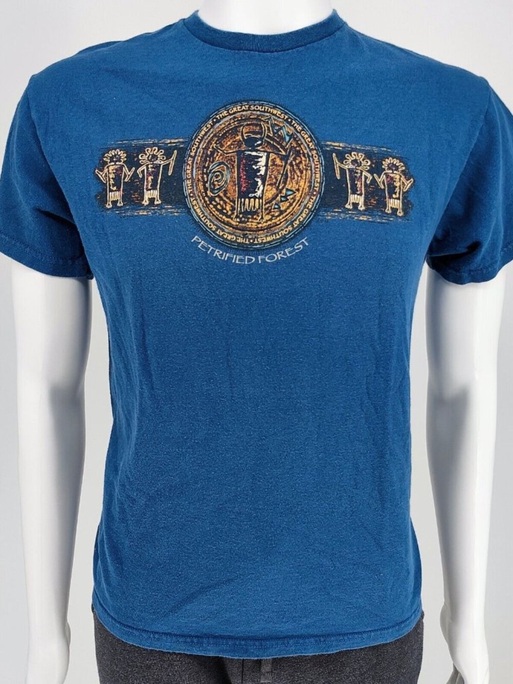 The Great Southwest Petrified Forest Graphic T-Shirt (Medium)
